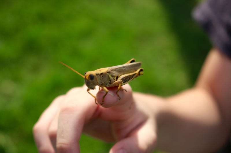 What do you mean out of focus?